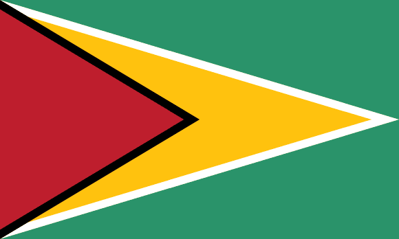 Resultado de imagem para Guiana bandeira
